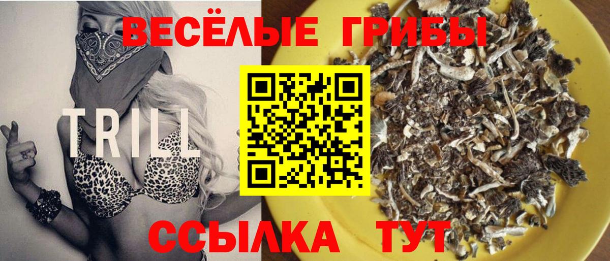 Псилоцибиновые грибы Cubensis  Вход с VPN  Галлюциногенные грибы мицелий  Ирбит 